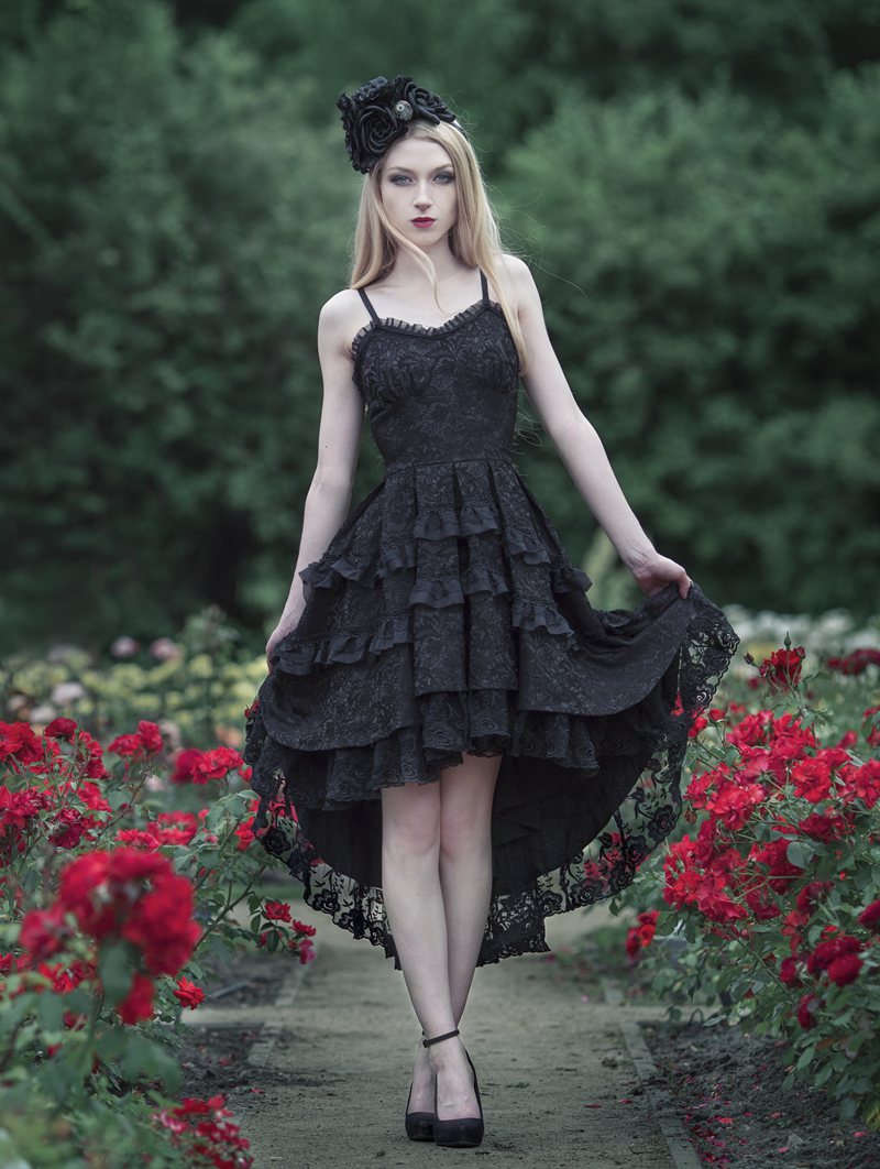 Dark In Love Black Gothic Noble Dovetail Dress