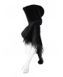 Devil Fashion Black Gothic Feather Hooded Short Cape for Women