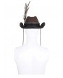 Devil Fashion Brown Steampunk Cowboy Feather Hat for Men