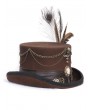 Devil Fashion Brown Steampunk Rolled Brim Top Hat for Men